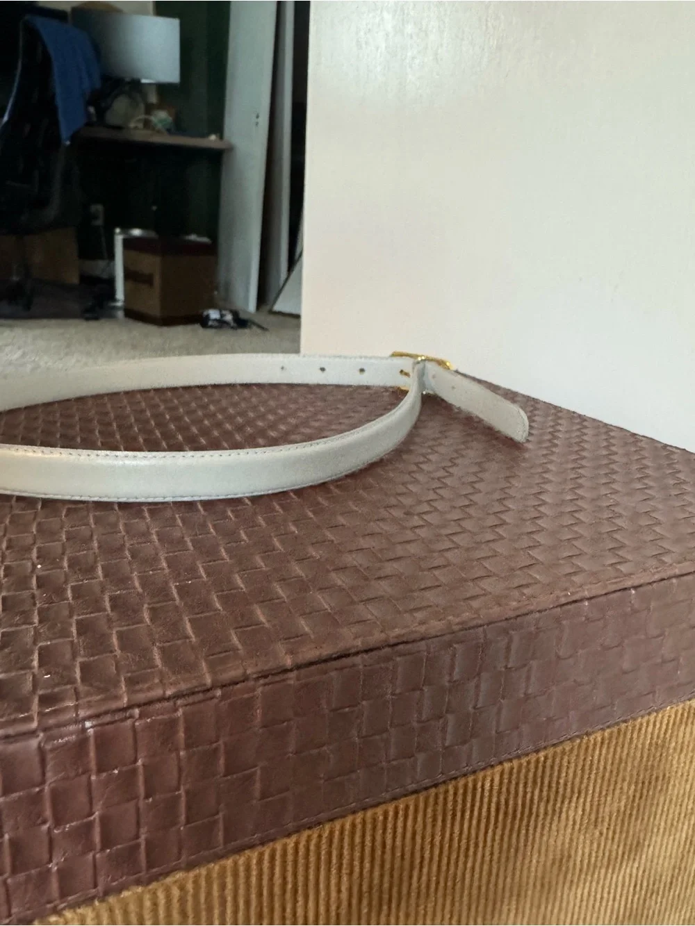 Light Gray Leather Belt with Gold Buckle - Women's Accessory